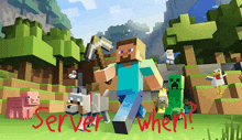 a picture of a minecraft game with the words server where written in red