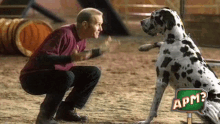 Perro Dog GIF - Perro Dog Gos GIFs