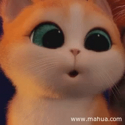 Cats Big Eyes GIF - Cats Big Eyes Oh - Discover & Share GIFs