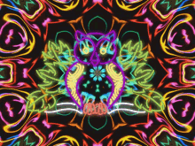 Owl Neon GIF - Owl Neon Colors GIFs