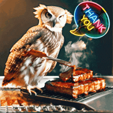 Owl Thank You GIF - Owl Thank You Bbq GIFs