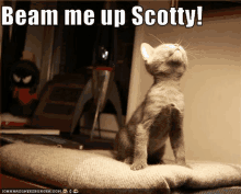 Beam Me Up Scotty GIF - Beam Me Up Scotty GIFs