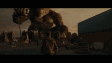 Godzilla Kong GIF - Godzilla Kong Gvk GIFs