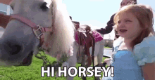 Hi Horsey Princess GIF - Hi Horsey Princess Brushing GIFs