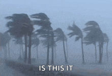 Vent Hurricane GIF - Vent Hurricane GIFs