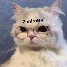 lol pfp zanior__vr dont take this dont care didnt ask