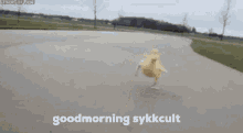 Sykkcult GIF - Sykkcult GIFs