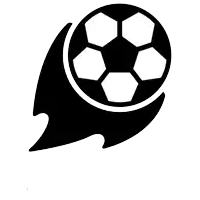 a black and white soccer ball with the words ¡ gol !! below it