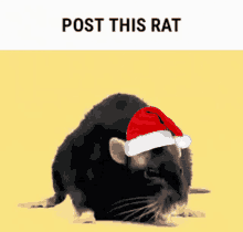 Rat Festive GIF - Rat Festive Christmas GIFs