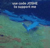 Joshe1998 Code Joshe GIF