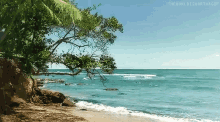 Sea Beach GIF - Sea Beach Tree GIFs