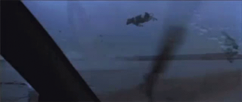 Flying Cow Twister GIFs | Tenor