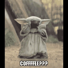 Drink Yoda GIF - Drink Yoda Coffee GIFs