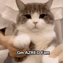 Azero Gm GIF - Azero Gm Gm Azero GIFs