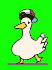 Duck GIF - Duck GIFs
