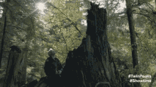 Jack Rabbit'S Palace GIF - David Lynch Look Up Twin Peaks The Return GIFs