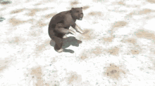 Prehistoric Animals Arctodus Simus GIF - Prehistoric Animals Arctodus Simus Short Faced Bear GIFs