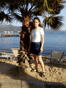 a woman standing under a palm tree on the beach