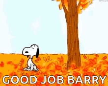 snoopy is sitting under a tree in a field of leaves and watching a leaf fall from the tree .