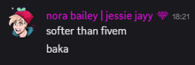 a screenshot of a conversation between nora bailey and jessie javy