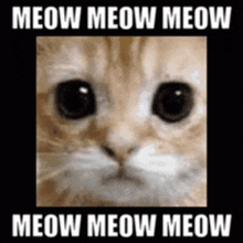 Wow Im Spinnig GIF
