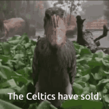 Celtics Sold GIF - Celtics Sold GIFs