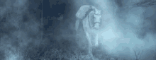Foggy GIF - Horse Horses Equine GIFs