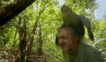 Nature Green GIF - Nature Green Parrot GIFs