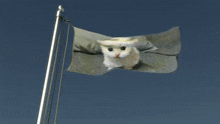 Kitty Flag GIF