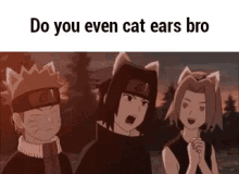 cat ears anime naruto