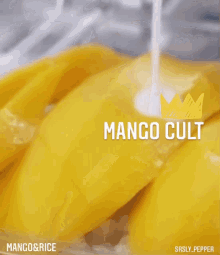 mango cult mango mango rice ladik05 srslypepper