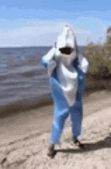 a person dressed in a shark costume is standing on a beach .