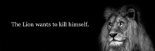 a black and white photo of a lion with the words " the lion wants to kill himself "