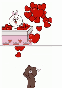 cony brown brown bear cony and brown love