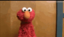 elmo dont know who knows idk i dont know