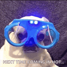 Rain Dog GIF - Rain Dog Goggles GIFs