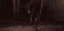 a woman in a red dress is kneeling on the ground in a dark forest .