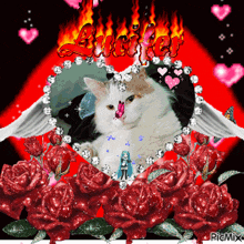 a picture of a cat surrounded by red roses with the word lucifer in the background