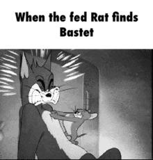 Tom And Jerry Fight GIF - Tom And Jerry Fight When The Fed Rat Finds Bastet GIFs
