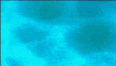 a person is swimming in the ocean with a light shining through the water .