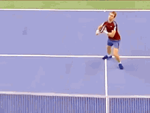 Jurgen Zopp Overhead Smash GIF - Jurgen Zopp Overhead Smash Tennis GIFs