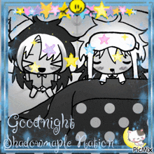 a picture of a boy and a girl sleeping with the words goodnight shadowmaple nabion