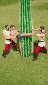 a group of men are holding a man upside down in front of a green cactus