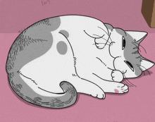 a cartoon drawing of a cat laying down on a pink surface
