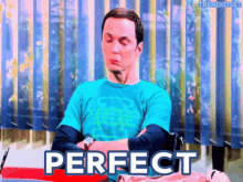 Perfect Good Job GIF - Perfect Good Job Sheldon Cooper GIFs