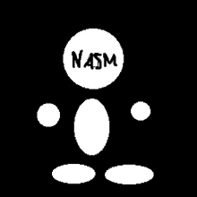 Nasm Ninja GIF