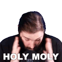 Holy Moly Become The Knight Sticker - Holy Moly Become The Knight Holy Cow Stickers
