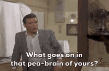 Pea Brain What Goes On GIF