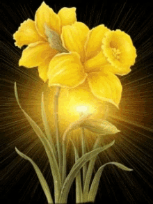 Yellow Flowers GIF - Yellow Flowers GIFs