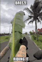 a person holding a green leaf with the words breeze riding it above it